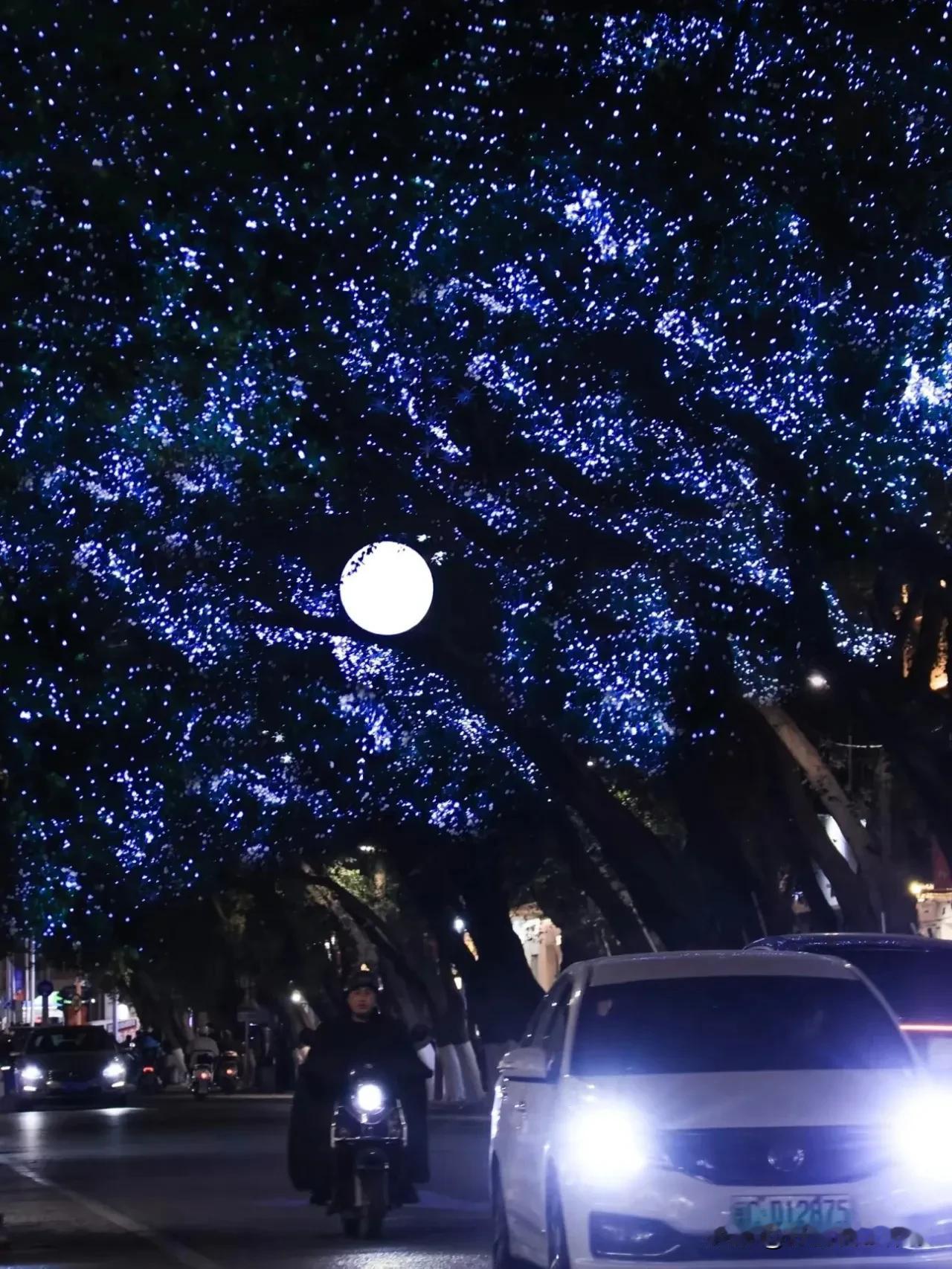 南俊路的夜景灯很浪漫，中山路没有树了，要不也可以挂星星灯、线灯，会更出圈！今