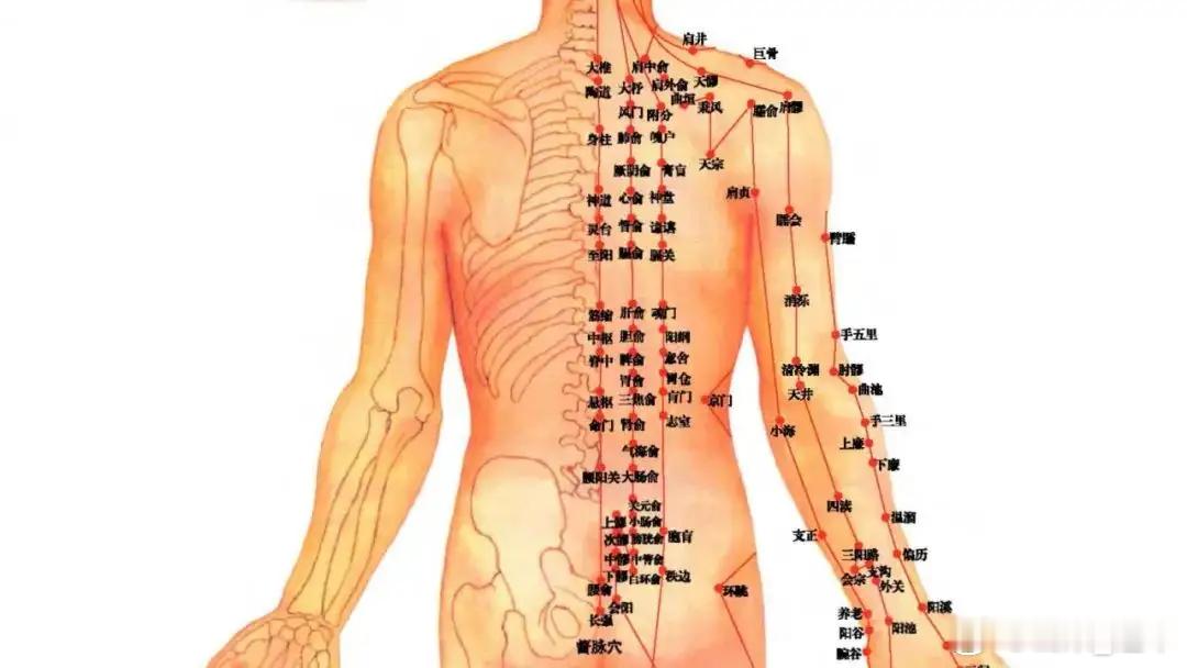“背薄一寸，命长十年”，老中医力荐的6个养背方法，简单管用！古人云：“前身厚如山