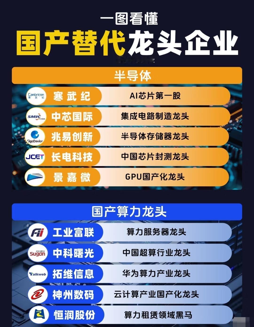 “国产替代龙头企业”，分别从多个关键科技与战略行业，介绍了具有代表性的中国领先企