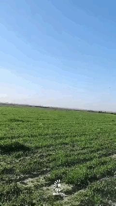 大批美国巡航导弹，超低空越过边境飞向德黑兰，这个场景几乎与1990年海湾战争一模