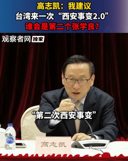 高招啊，高志凯专家在一次座谈会议上，针对台湾问题公开提议：我建议台湾省来一次“西