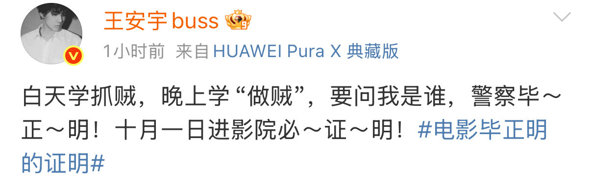 王安宇白天抓贼晚上做贼 我也是好起来了，能在大银幕看到王安宇白天抓贼晚上“做贼”