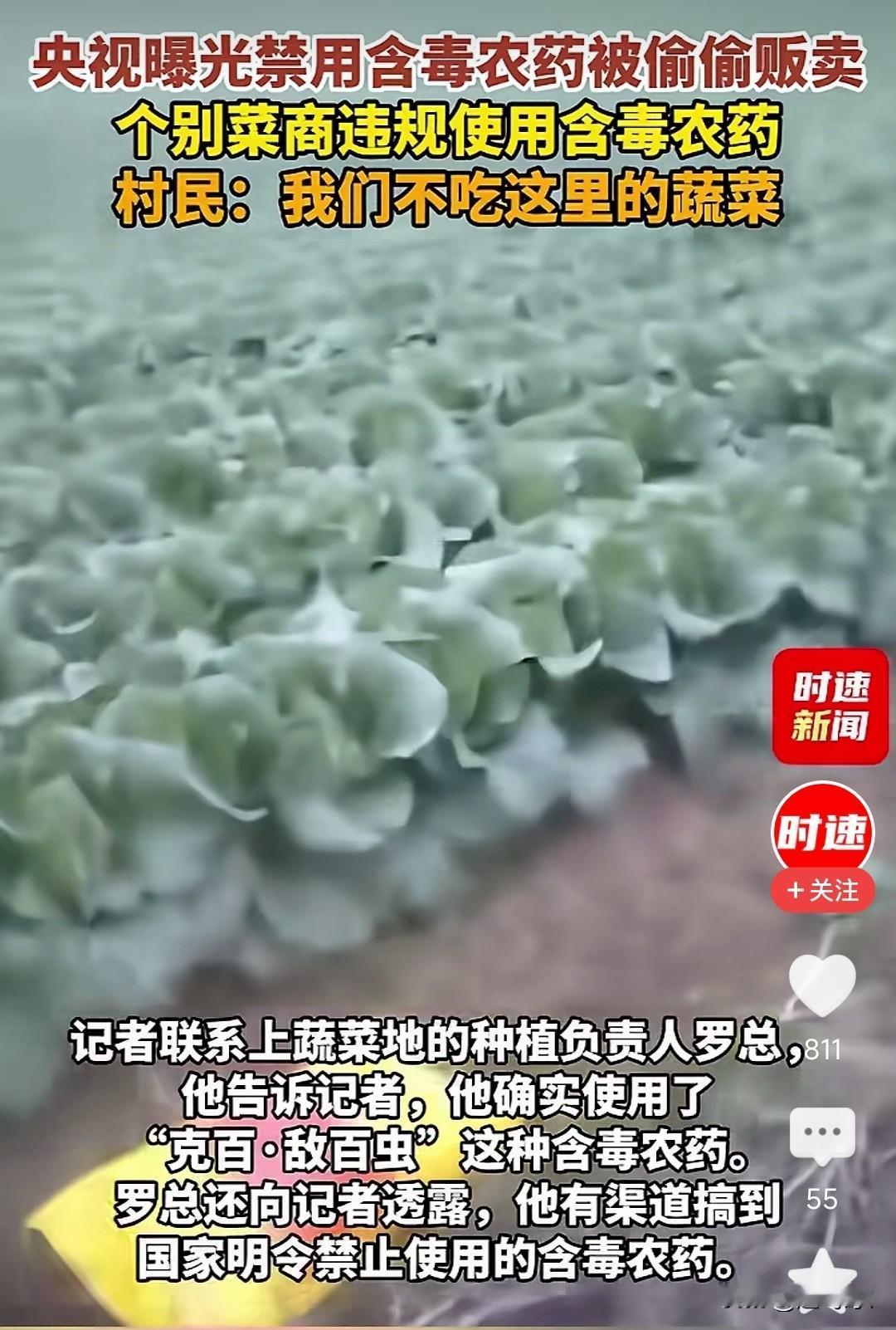 村民不吃这里蔬菜，这菜都让谁吃了，这样的农药残留时间长，不要再使用了，村民不吃这