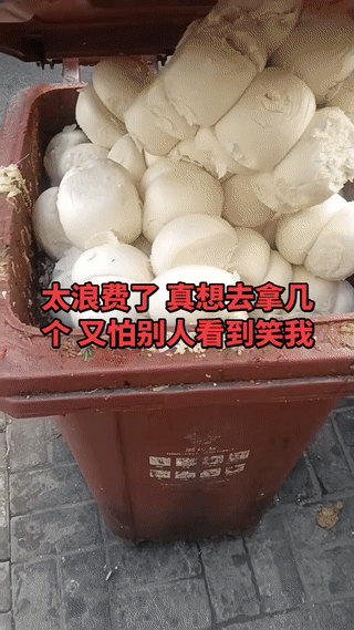 真是太败家！太浪费了！这么多白花花的馒头就这么扔进了街头的垃圾桶里！这些馒头