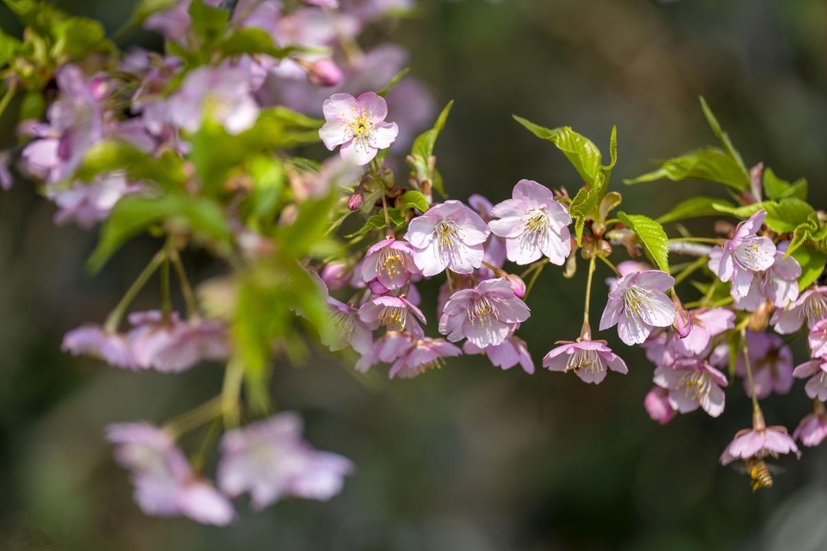 刻意去找的东西，往往是找不到的，天下万物的来和去都有它的时间和地点。是你的，就是