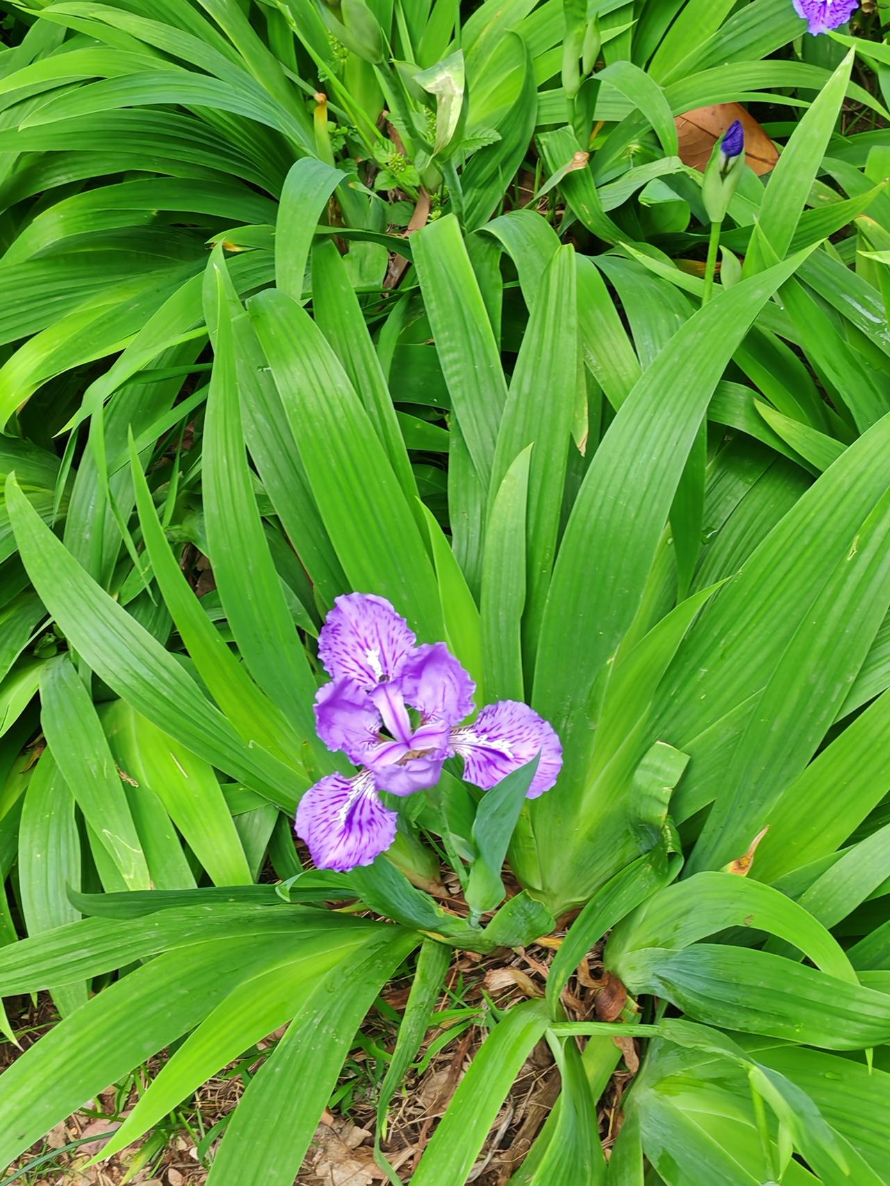 1.这个世界没有岸，只有越来越会游泳的自己，望周知；2.朋友闺蜜越少，日子