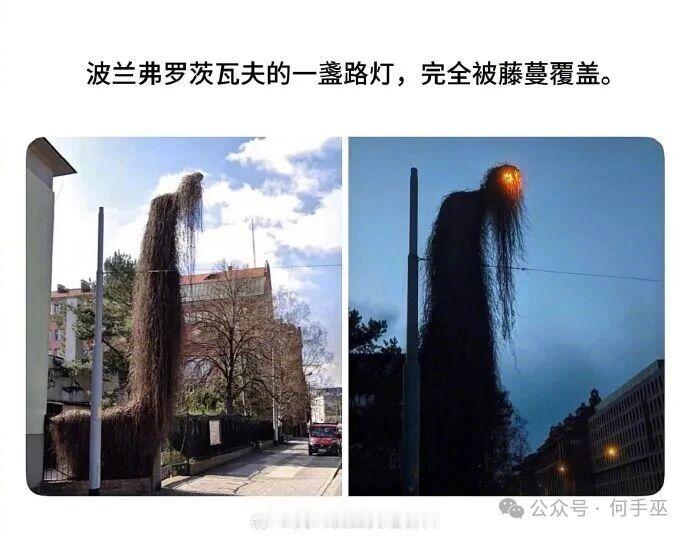 晚上路过的行人需要极大勇气