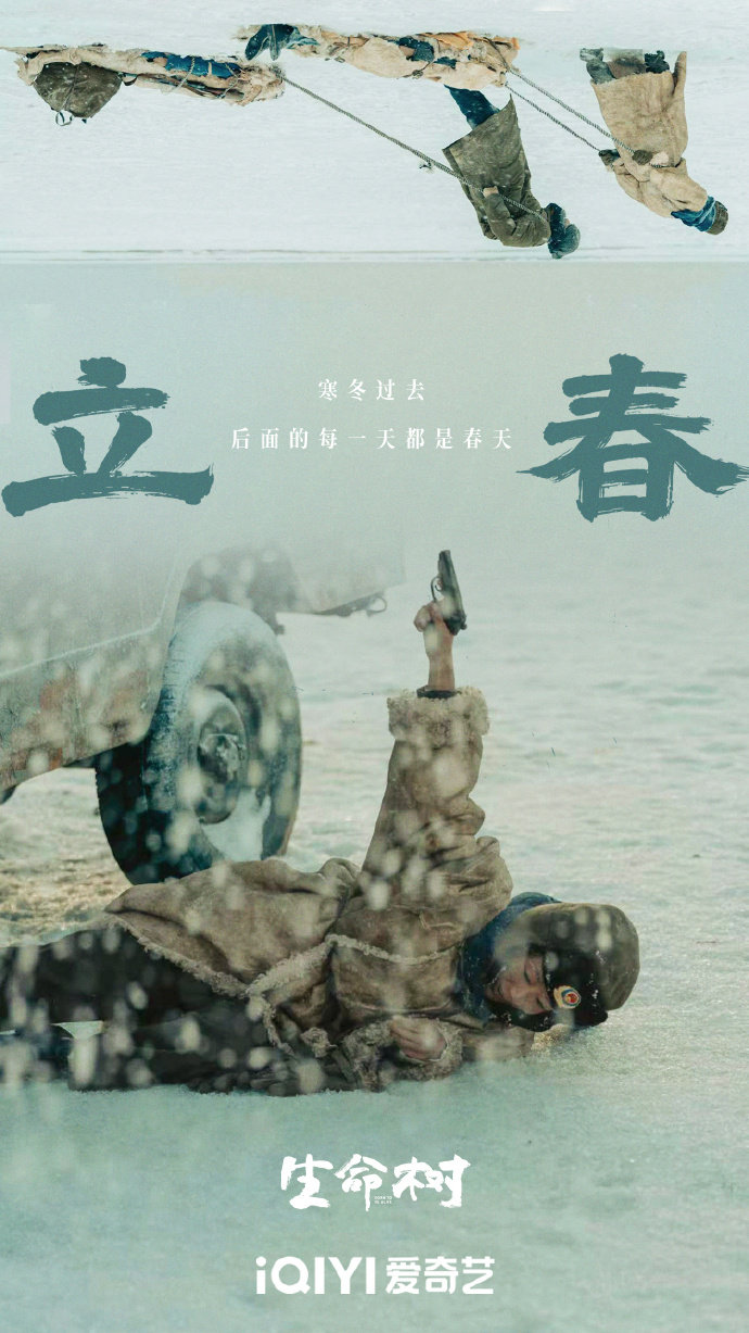 杨紫生命树白菊立春海报生命树立春海报生命树立春海报，杨紫生命树白菊立春海报，