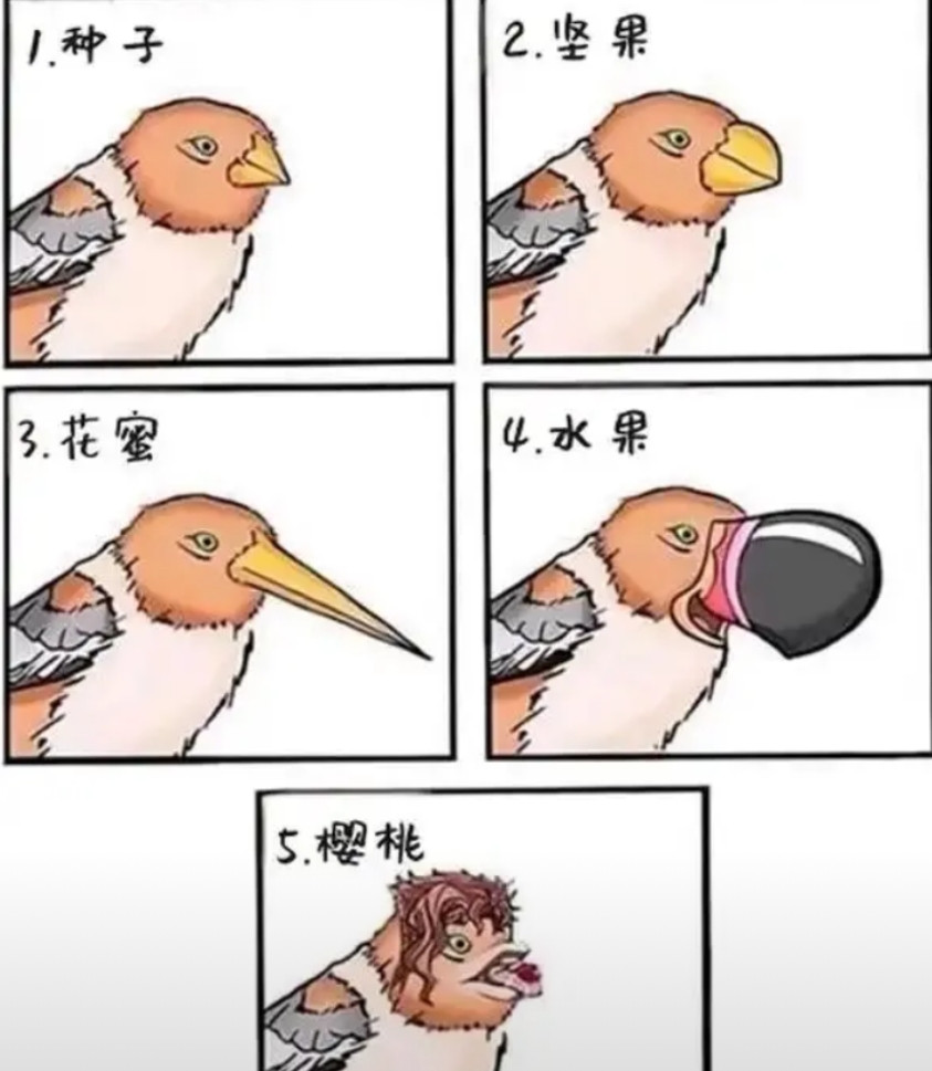 鸟嘴的作用