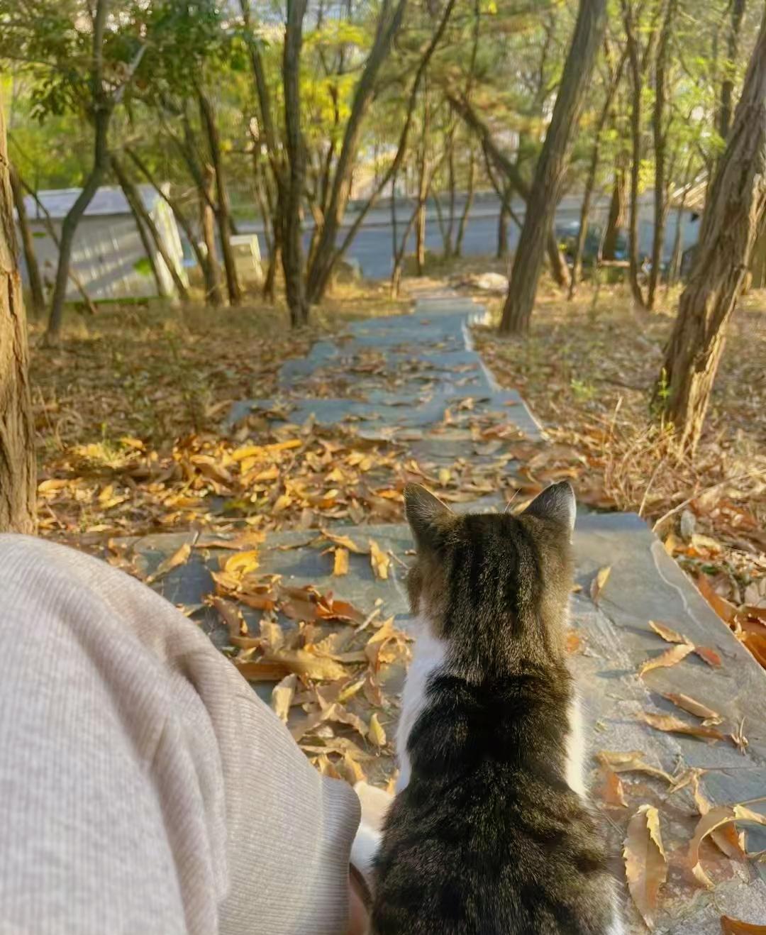 ：）如果你的岳父母还没有百年，那么你的老婆永远都不会跟你一条心，不会爱你。和你