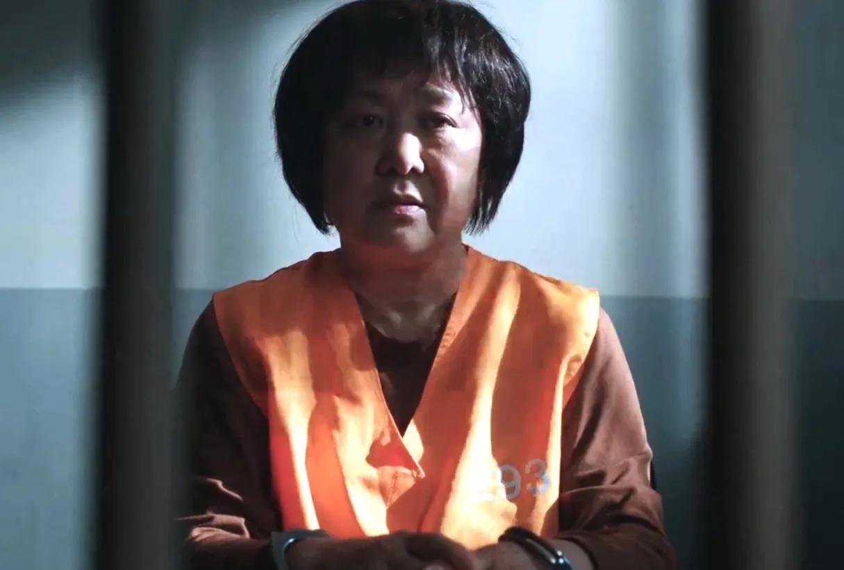 《利剑.玫瑰》人贩子红姨落网，原来这才是她拐卖孩子的根本原因…经过邓妍和艾心的