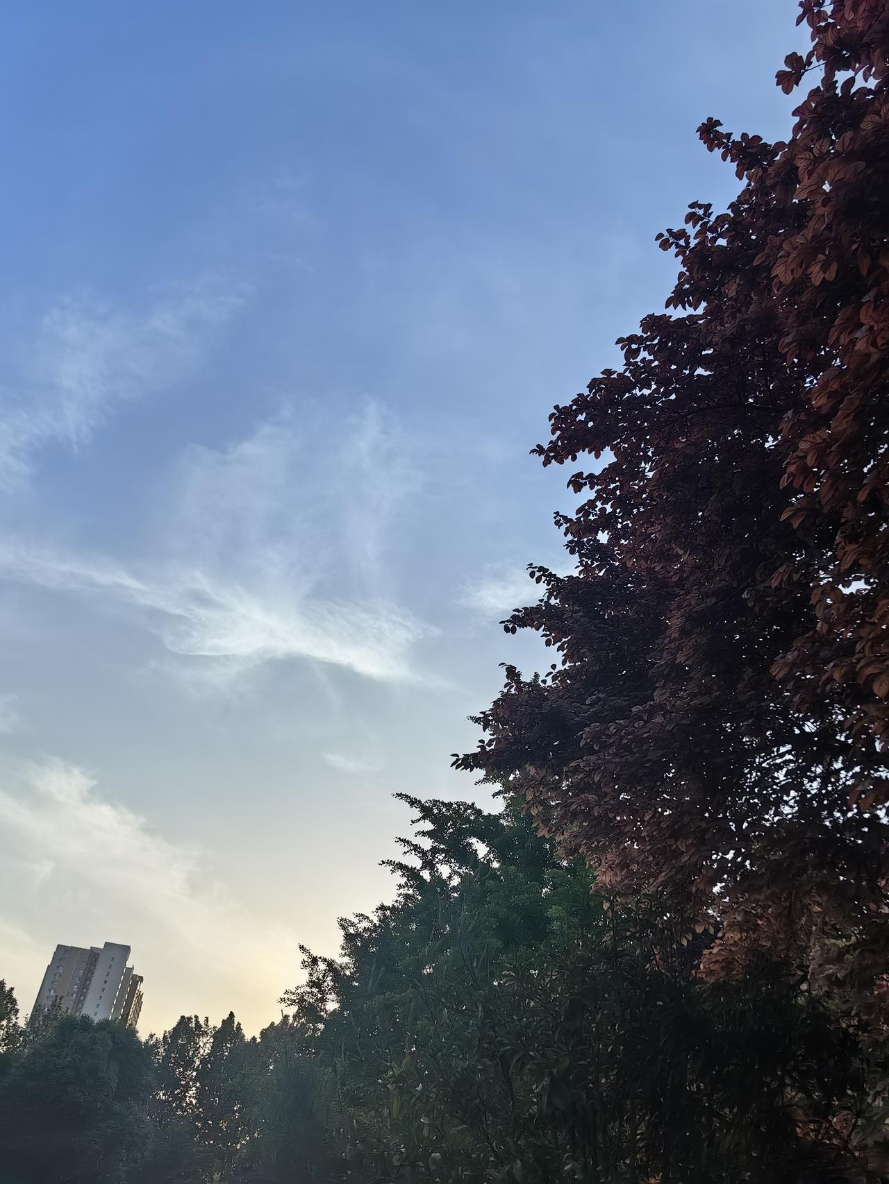 痔疮手术后第十四天，每次大便后仍然很不舒服昨天是我痔疮手术后的第十四天了，我