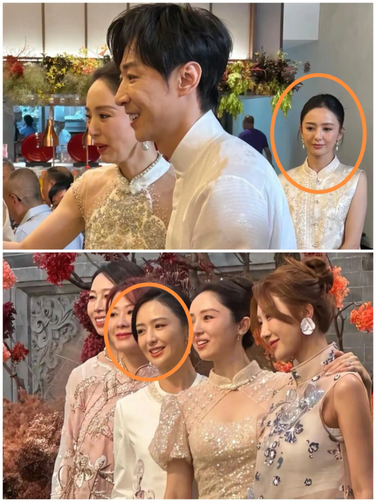 我现在有理由怀疑佟丽娅以后都不会再结婚不是说她没有人追，主要是你看她在董