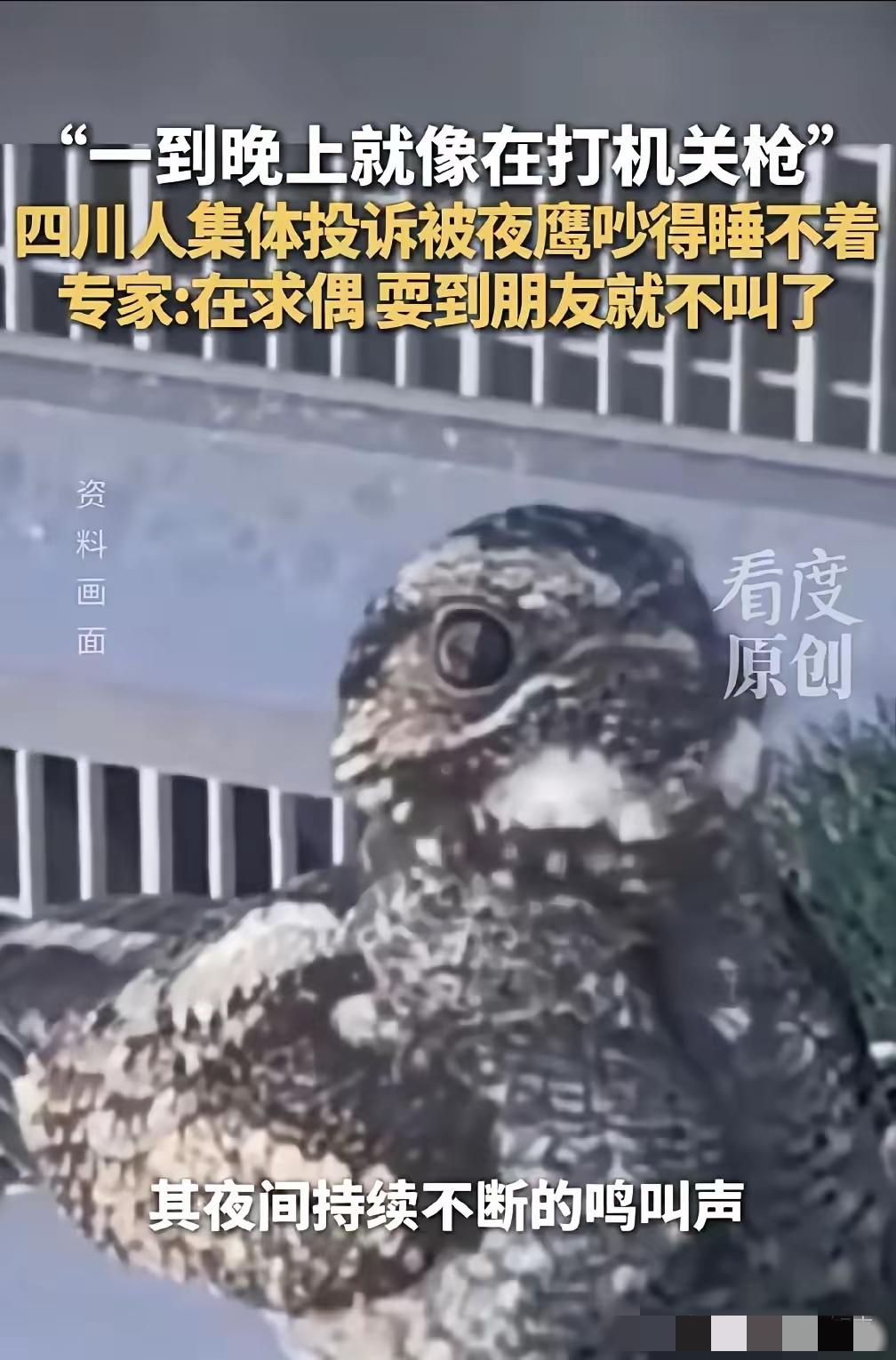 求你了，快脱单吧！封面新闻5月14日报道，深夜“机关枪声”响彻四川多城，居民