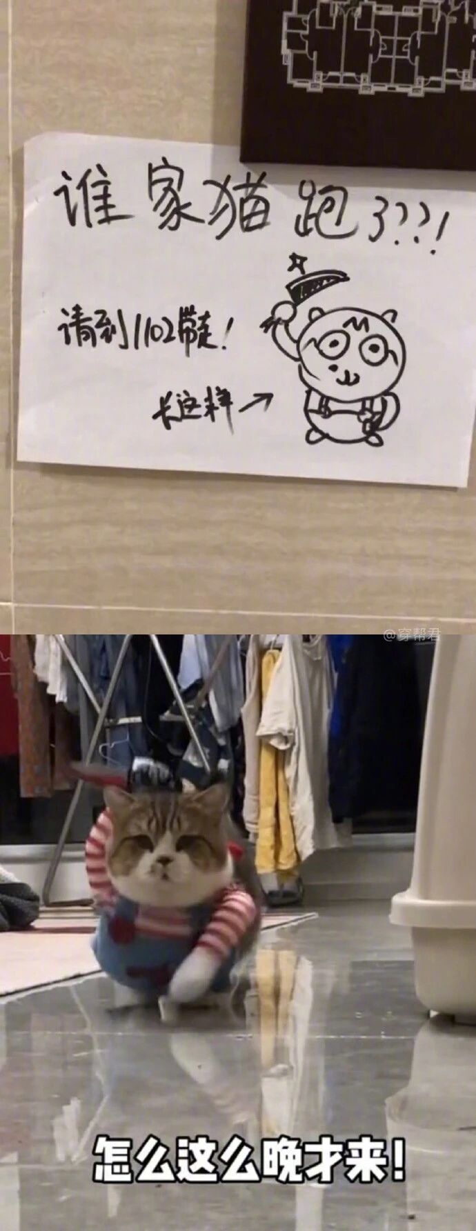 厉害，邻居们的画功都十分了得啊！