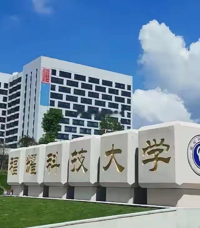 福耀科技大学这事儿，仔细琢磨还真挺有门道。一开始申报办学，教育部没批准，结果把名