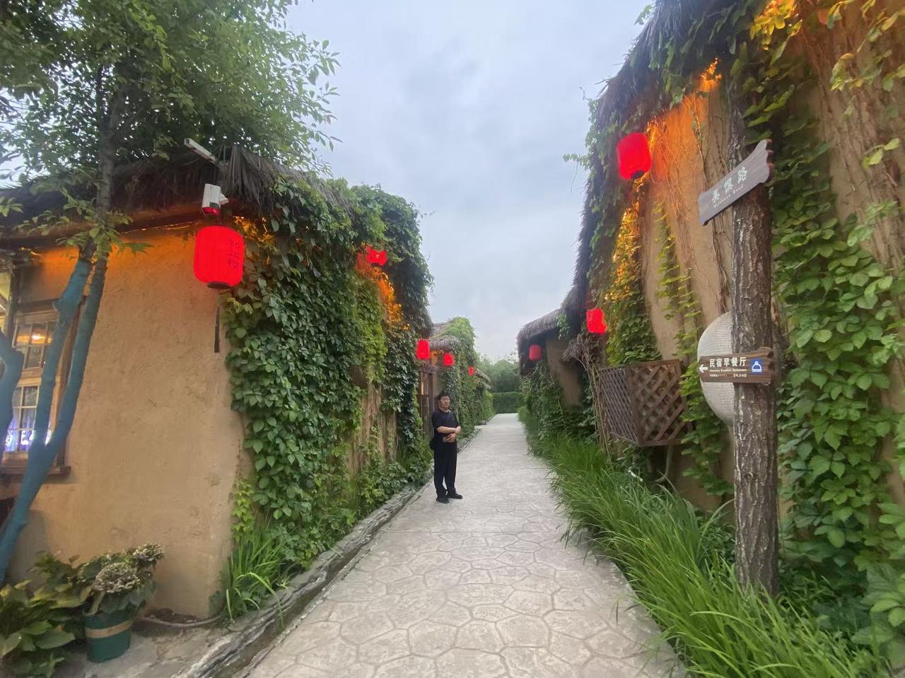 昨晚和一个亲戚吃饭。在吃饭期间，她说起来自己的儿子，各种埋怨，说了儿子的不是。