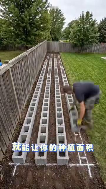 砖孔种菜。你可能不相信，几块空心水泥砖就能让你的种植面积直接翻倍。大家都觉得水