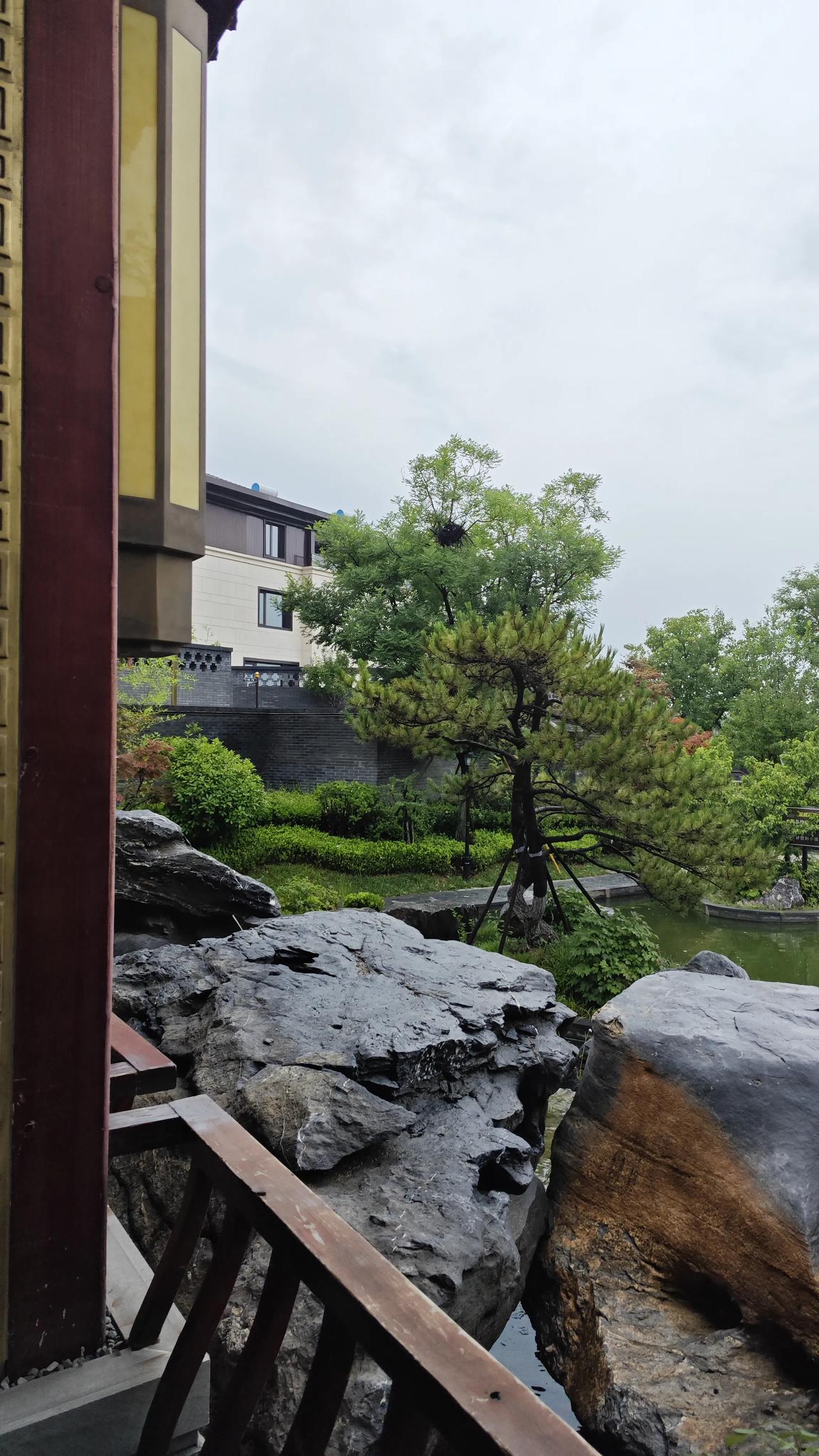 邻居今年79岁，她的老伴去年初因病离世！​她在养老院仅仅住了一年就回家了！​
