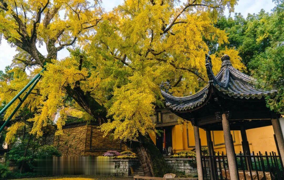 读懂无锡: 力荐秋游好去处