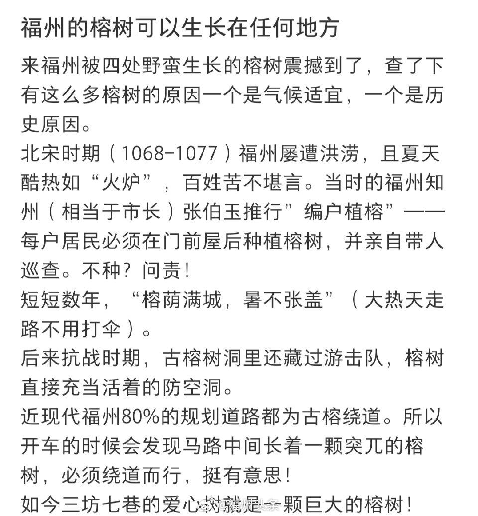 【福州的榕树可以生长在任何地方】网友：来福州被到处生长的榕树震撼到了，开车的
