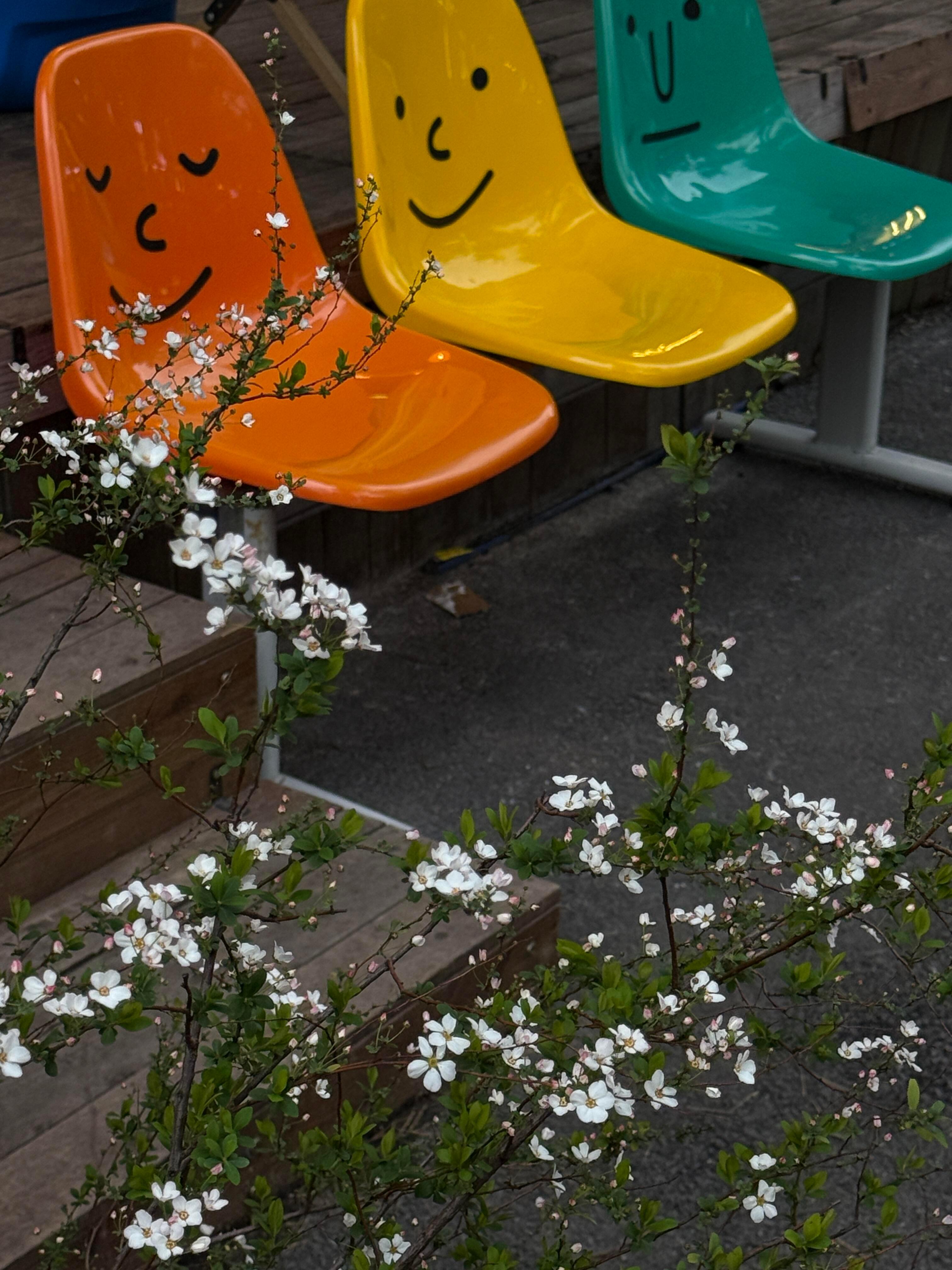 镜头里的美好永驻⊹🐾"◌◞🐕𓂂𓏸