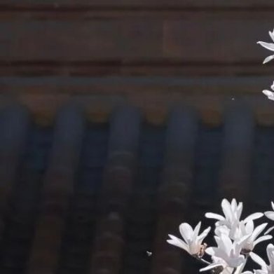 ⭐人生在世，委屈辛酸都是难免的。越是低谷的时候，越能看出一个人的本质，有人骂着