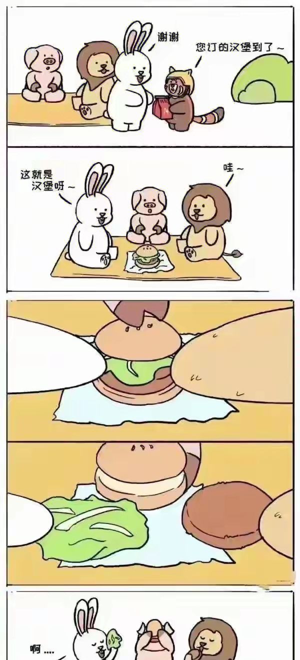 这就是汉堡呀