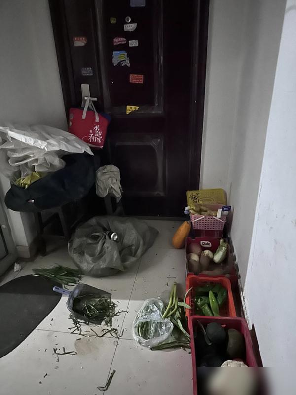 谁懂啊！上了一天班回家，看到玄关乱堆的鞋子、阳台枯得发黄的绿萝，那股烦劲儿直接窜