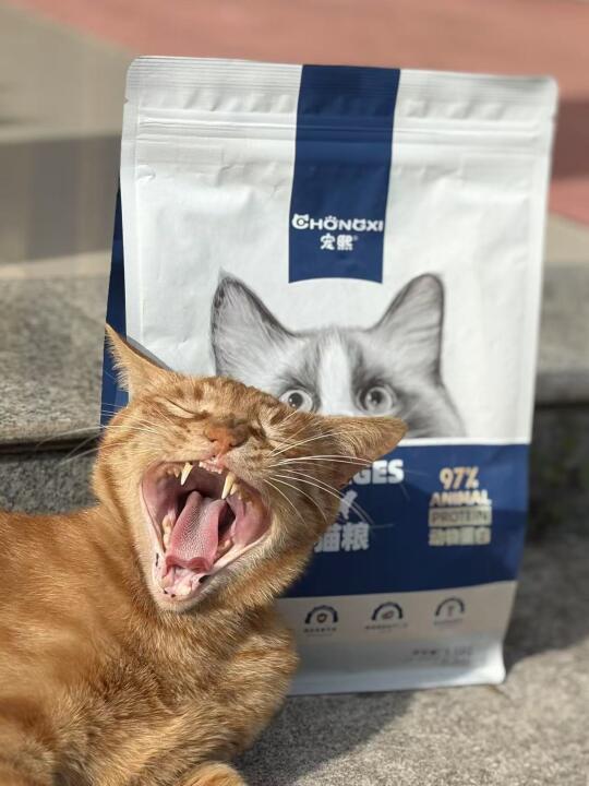 懒人养猫福音！我家主子连碗都舔干