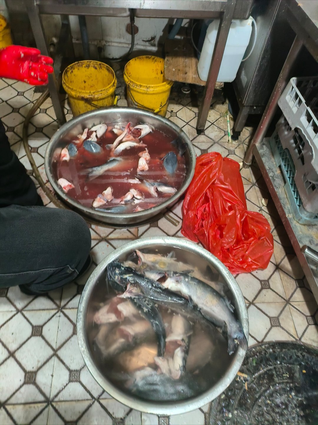 明天又是忙碌的一天，现在就开始准备明天的备料，加油干吧！