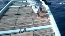 直接拉到1分30秒看吧。