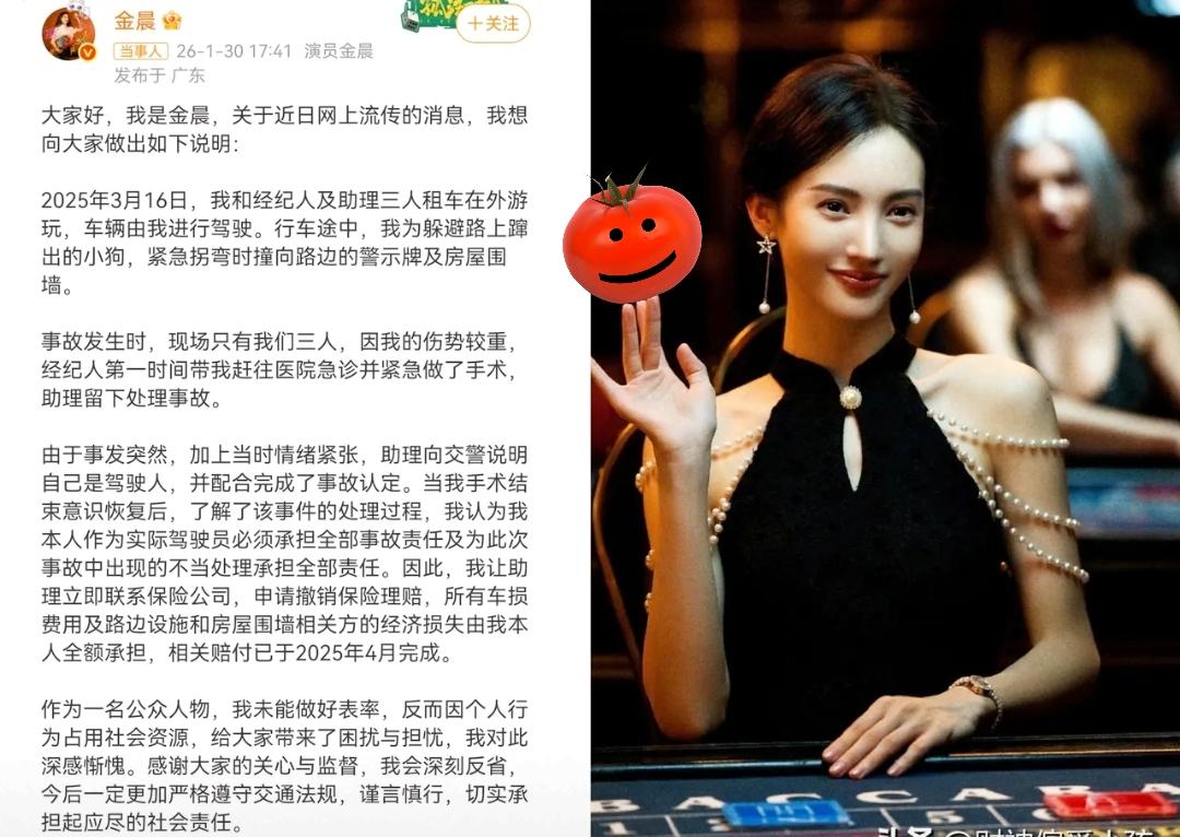 说真的，看到金晨晒出来那张满脸是血的照片，我满肚子的“阴谋论”瞬间全噎回去了。