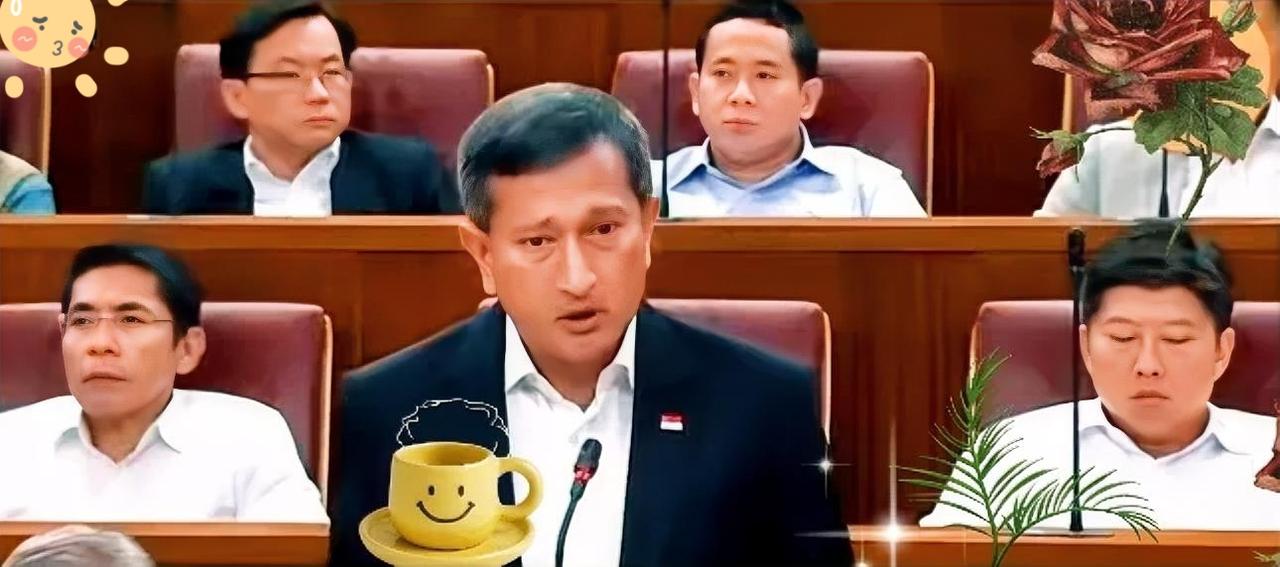 新加坡外长维文呼吁中国宽容，难道不明白站错队的后果吗？新加坡一味地选边站，导