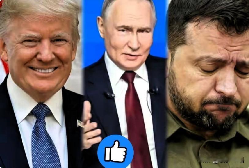 真的被我猜中了！乌克兰谈判代表正式宣布！乌克兰三方谈判代表组在阿布扎比召