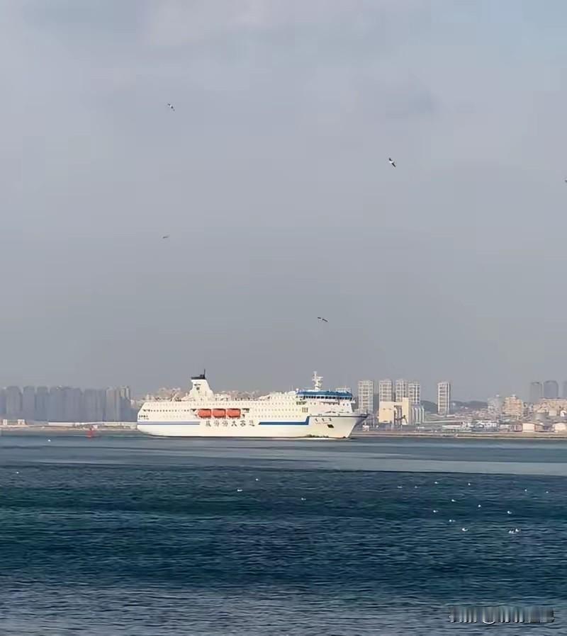 刚刷到大连查渔船的消息，真给我看傻了。两百多艘船有问题，藏人的、拆北斗的、顶着大