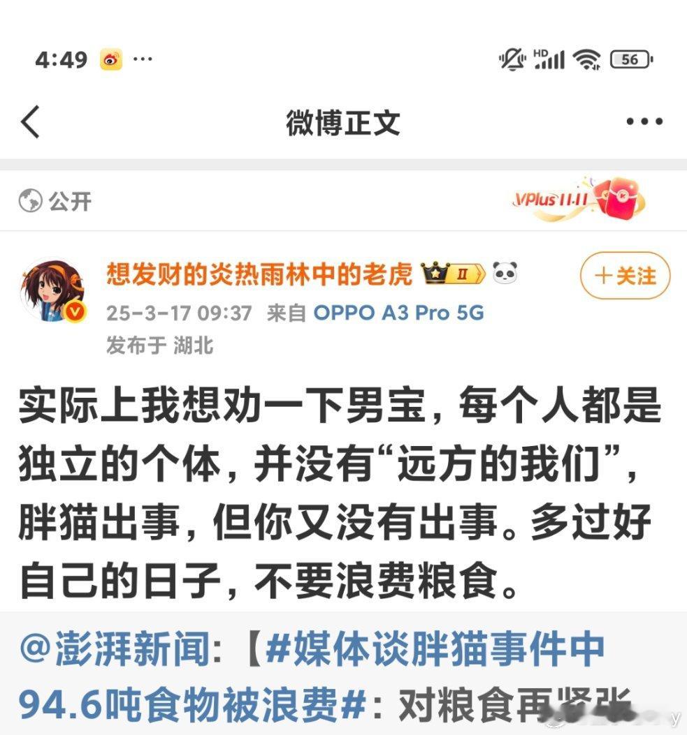 只许我们共情不许你们共情胖猫出事，我们又没出事，没错，我们以后不会重蹈