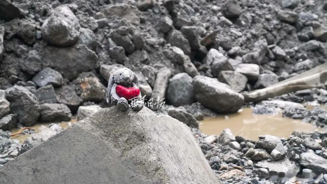 吉隆口岸搜救现场，消防员发现的毛绒兔子玩偶💔​​​
