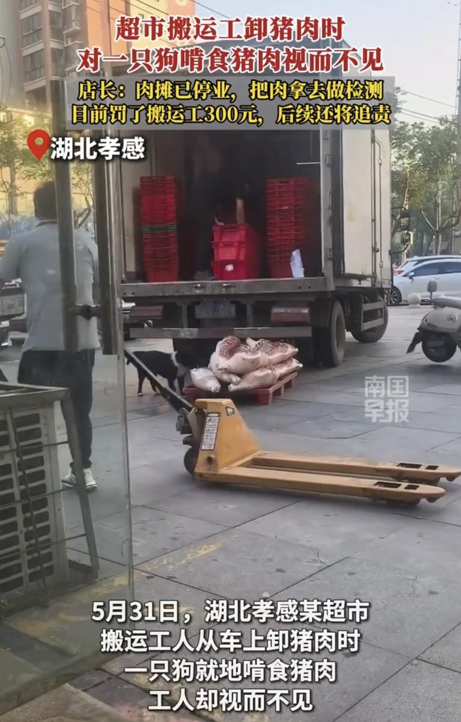 太不负责任了！湖北孝感，一肉摊老板在一超市采购了一批猪肉，不料超市猪肉送货上门，