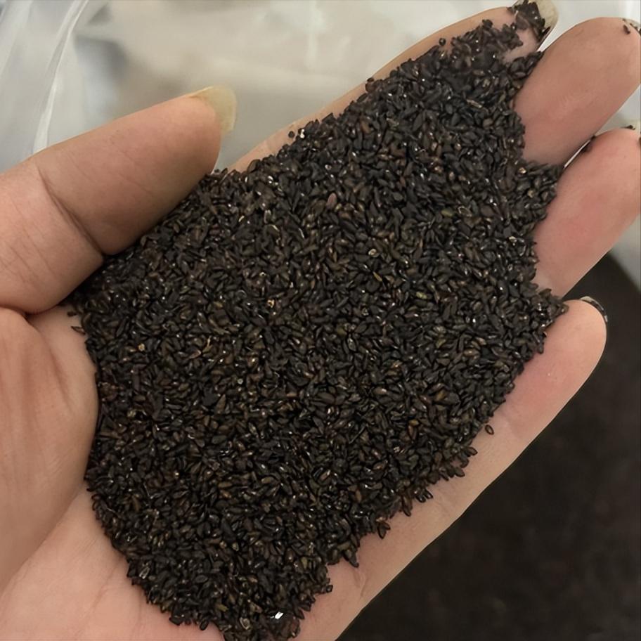 阳痿早泄——我有一张“断根方”，宁可得罪天下大夫，也要公开！不少阳痿