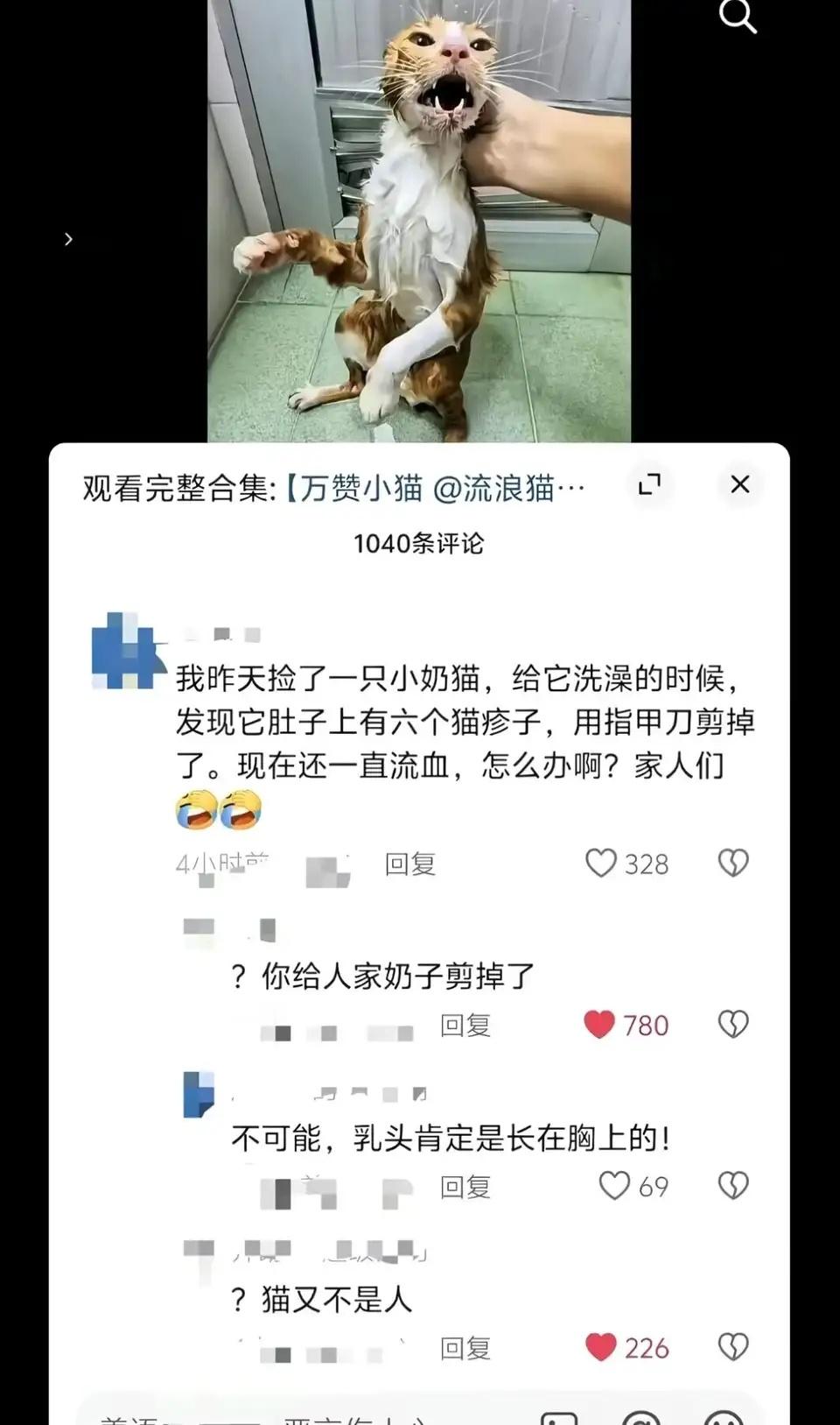 坏人绞尽脑汁，不如蠢人灵机一动​​​