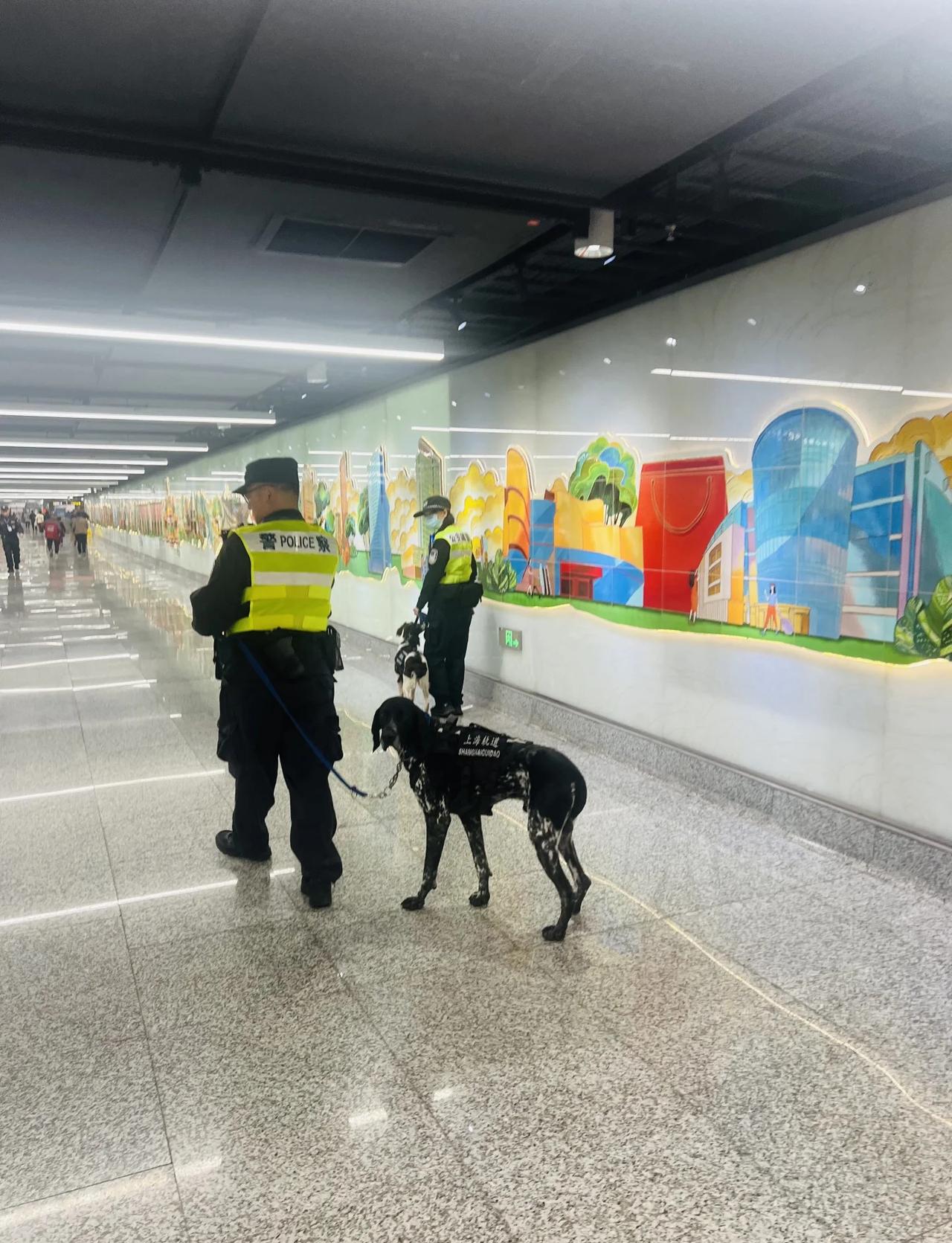 修狗警官，报告，我喝的是咖啡上海轨道修狗警官好好笑，盯着我的咖啡走不动道，最后