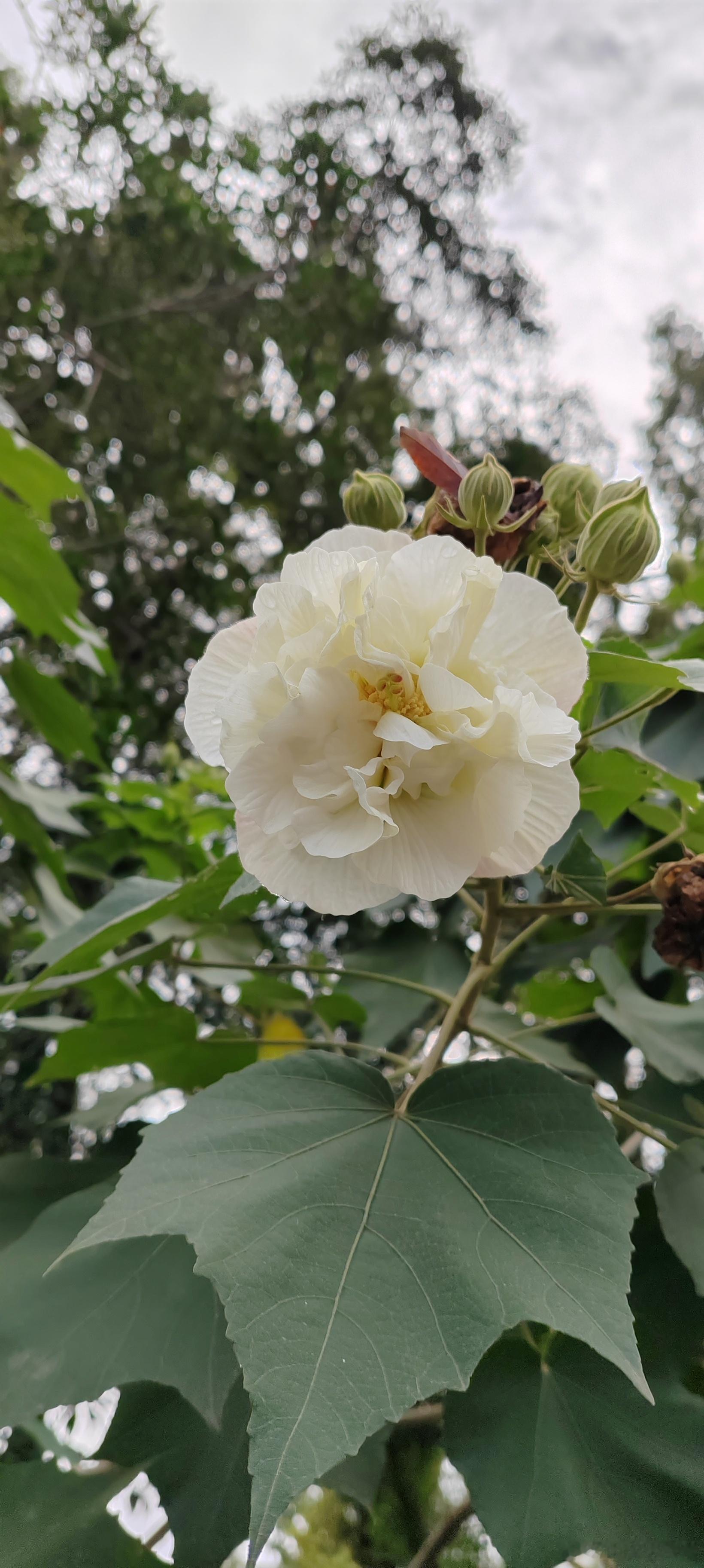 【晒太阳的黄金时间看影子长短】缺乏维生素D抑郁症状晒太阳是补充维生素D最有效