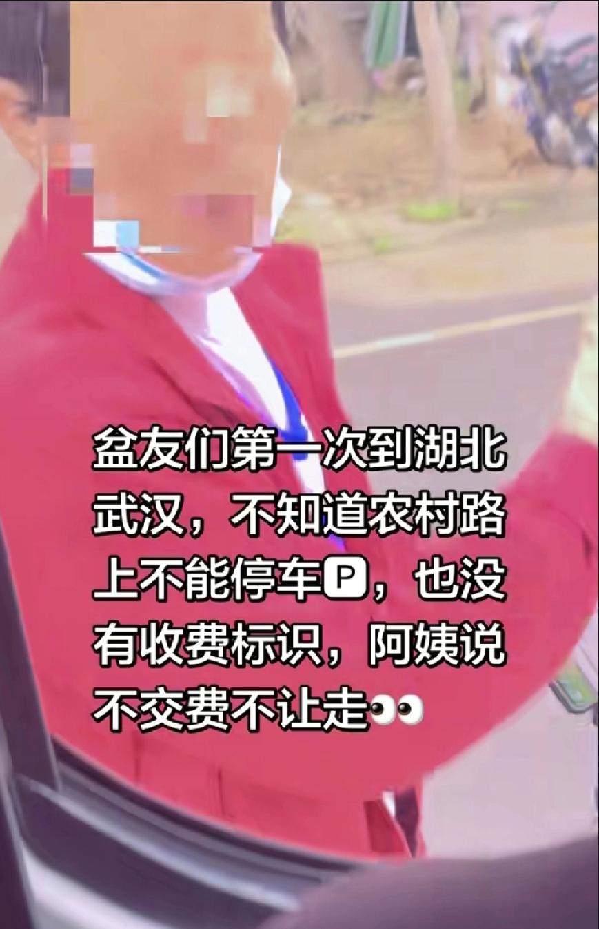 湖北武汉，网友发视频吐槽:第一次到湖北武汉，不知道农村路上不能停车，也没有收费标