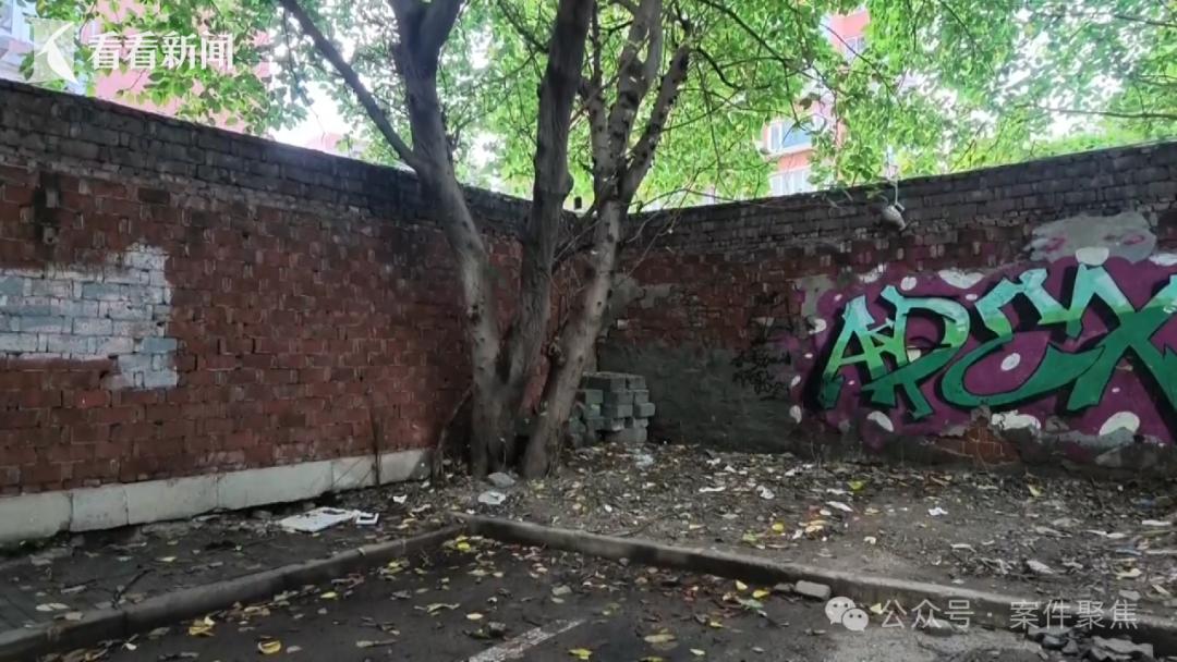 8月27日，据案件聚焦报道，上海虹口欧阳地区一处断头路的无名大树，近期沦为