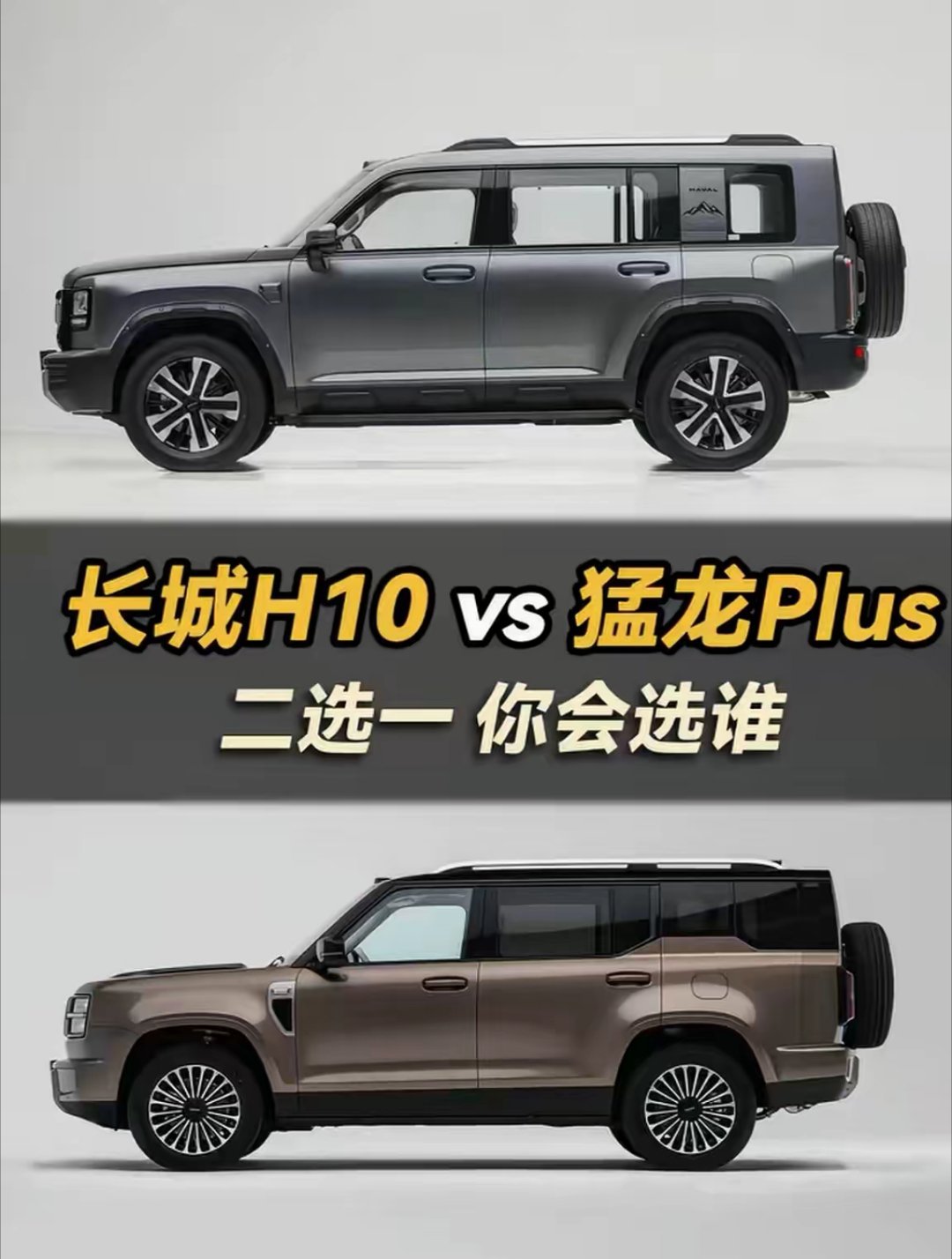长城汽车：你到底让我怎么选？这确实有点困难了，两台车差不多，价格也有重叠，都是方