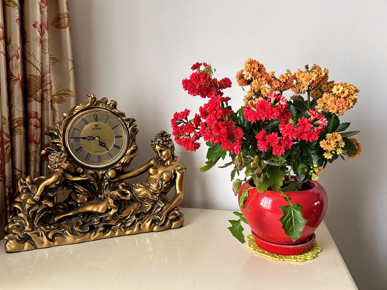 晒一晒随手一拍的花朵这是我柜子上摆放的一盆长寿花，已经花开半个多月了，今天随手一