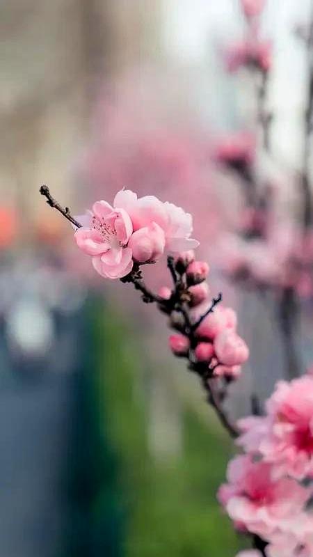 这三个月一到，属虎、属龙、属蛇、属猴的人，节奏真不一样。属虎的先忙后顺，前面像