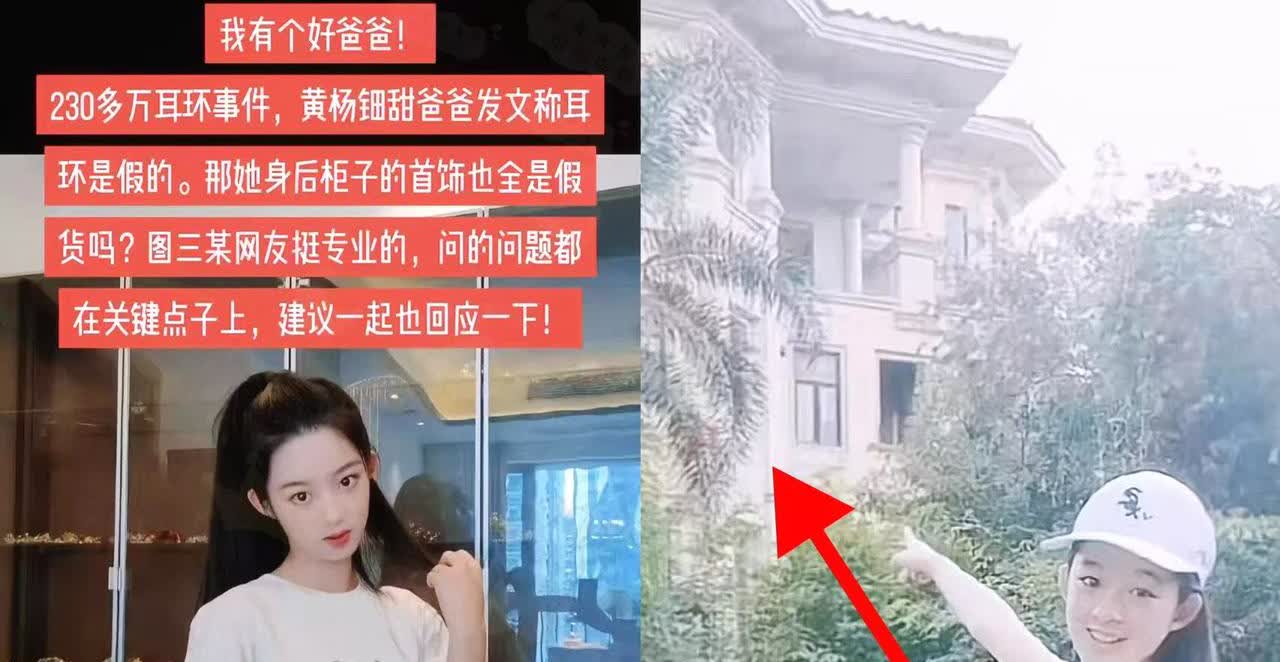 如果人民过得苦的话，那一定是我替你甜了—黄杨钿甜！从230万耳环到2亿
