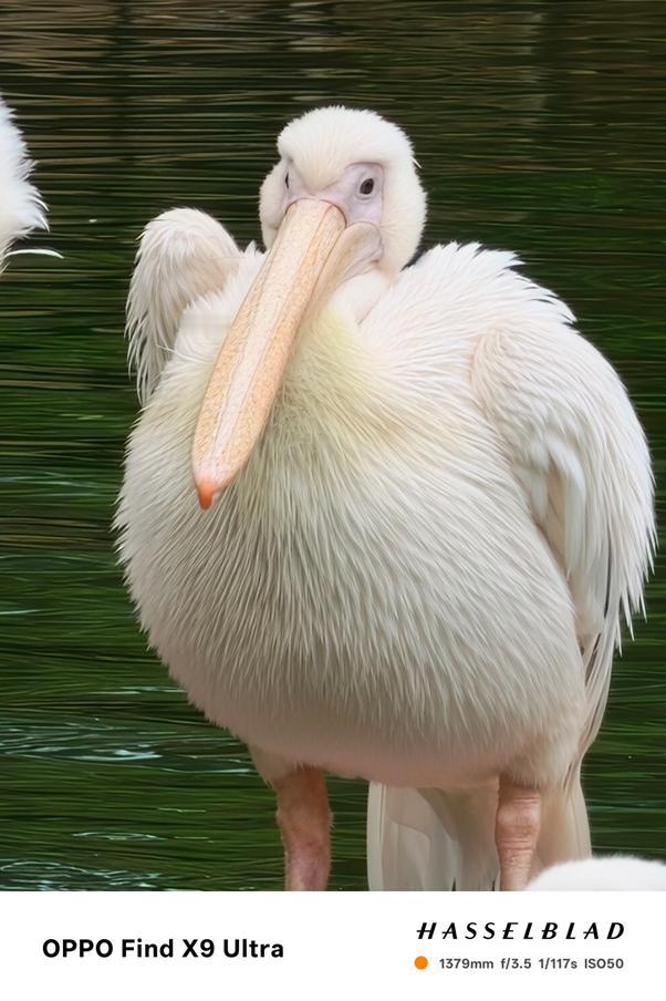 长焦真的太好用辣~尤其是这次绿厂的FindX9Ultra新机，居然上了一颗1